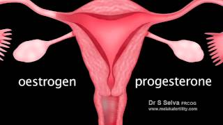 Video 1.1 Normal female pelvic anatomy
