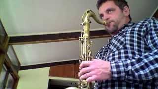 Andy Snitzer on the Signature Custom Raw XS tenor sax