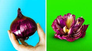 15 ПРОСТЫХ ИДЕЙ КУЛИНАРНОГО ДЕКОРА