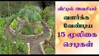 15 herbal plants to grow at home in tamil | வீட்டில் வளர்க்க வேண்டிய 15 மூலிகை செடிகள்