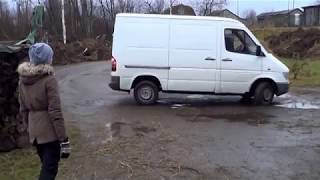 Погрузка живого быка в Mercedes Sprinter! Ужас и кошмар!!!