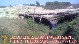 Uzbek Ўзбекистон фуқароларига кўприкларни расмга олиш тақиқланди