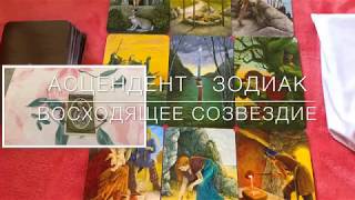 БЛИЗНЕЦЫ 2019 ФЕВРАЛЬ