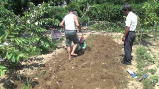 立榮機師學習CY80變形小金鋼鬆土1 Garden tiller tilling in homegarden (70cm width) 中耕機