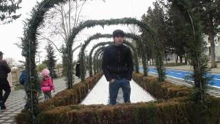 zaz 968 baku