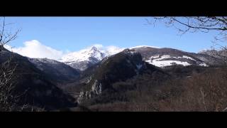 Montségur, de l'envol à la chute.