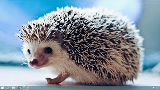 Вредные советы по SQL (часть 3)