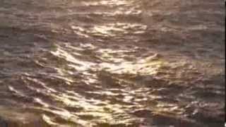 Black Submarine - Album Teaser