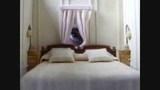 Coconut Records "Back to You"
