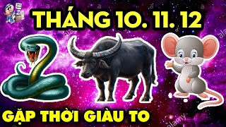 GIỚI TỬ VI CHẤN ĐỘNG, VÀO 3 THÁNG CUỐI NĂM, ĐANG KHỔ GẶP THỜI, ĐỔI ĐỜI ĐẠI GIA, GIÀU CÓ NHẤT VÙNG