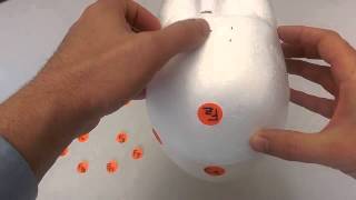 How to practice 10-20 EEG electrode placement.
