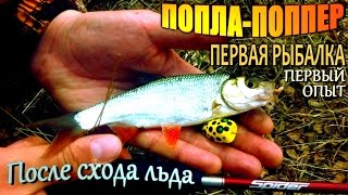 ПОПЛА-ПОППЕР - первая весенняя рыбалка! Ловля краснопёрки, плотвы, язя в начале апреля!