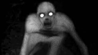 5 Biggest Unsolved Creature Mysteries