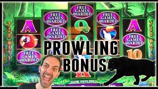 ?? Prowling Panther BONUS ? + Many MORE! ✦ Slot Machine Pokies w Brian Christopher
