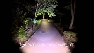 LED LENSER T7で暗所探索
