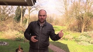 Fargesia Bambus richtig anlegen - Teil 1