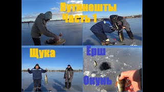 Зимняя рыбалка в Путинештах Окунёк Щука и Ерш. 1 часть