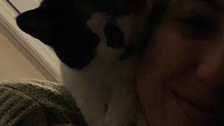 Breathing & Purring