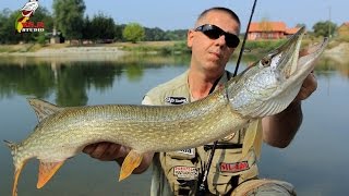 Štuke, bassevi i RYOBI role - FISH & FUN / V.S.P. STUDIO SURADNIK (V.S.P. FISHING TEAM ASSOCIATE)