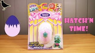 Little Live Pets Surprise Dragon Egg Hatching! Fun Toy Surprises! | Birdew Reviews