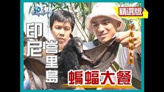 【印尼峇里島】蝙蝠大餐(快炒蝙蝠肉)｜《世界第一等》04集_小馬精選版