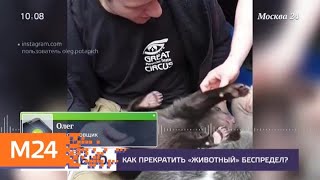 Почему в России процветает "животный" бизнес - Москва 24