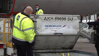 Венгрия первой в ЕС получила российскую вакцину от коронавируса “Спутник V”
