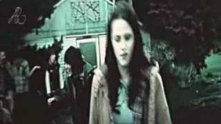 Funny Moments in Twilight