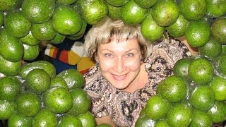 (703) Америка. ЕЛЕНА - ПОБЕДИТЕЛЬНИЦА 2-ГО МЕСТА В КОНКУРСЕ НА ВЕСЁЛУЮ ИСТОРИЮ!!!!!! Natalya Quick