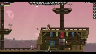 Starbound Avian Airship