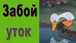 Забой уток.  Ощипывание утки мулард