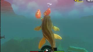 Как открыть все достижения в игре Feed & Grow Fish.