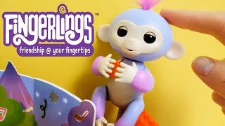 Новый друг FINGERLINGS (Фингерлингс) Видео распаковка МУЛЬТИК ДЛЯ ДЕТЕЙ
