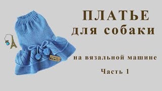 Платье для собаки породы йорк своими руками  ч  1 Silver reed