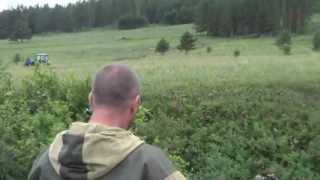 Погоня за черными лесорубами / The pursuit of black loggers