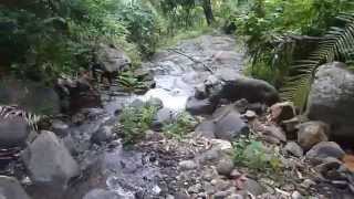 SOURCE D'EAU DE KORONI DANI MIRONTSY ANJOUAN COMORES