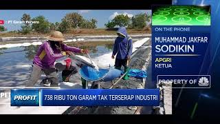 Garam Petani Lokal Tak Terserap Industri, Ini Keluhan APGRI