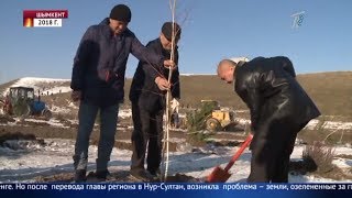 Деревья по госпрограмме высадили на частной территории