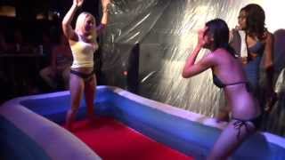Amazing Catfight