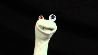 Vlog of The Sock -- Job Market