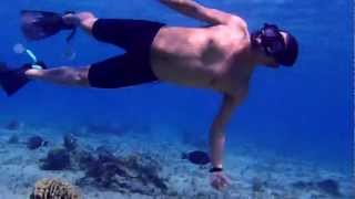 Esnorquel en arrecifes Cozumel Quintana Roo. CAMARA OLYMPUS TG-310