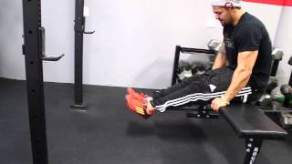 Exercise index - Band leg extension | NYC best personal trainer