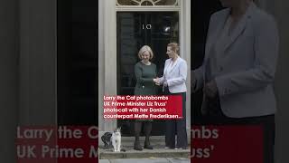 Watch the Moment Larry the Cat SNUBS Liz Truss