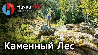 Каменный Лес в Ростовской области | Научпоп