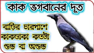 বাড়ির কোন দিকে কখন কাক ডাকলে আপনার পক্ষে শুভ না অশুভ crow sound mp3. Raven sound effect