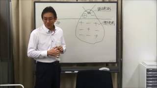 心の仕組み　心の3層構造について
