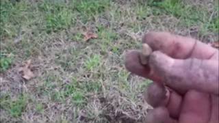 Dangerous Metal Detecting and GREAT finds!