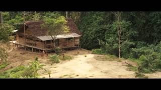 JUNGLE CHILD / THE FAYU TRIBE