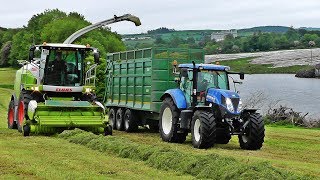 Silage 2017 - New Claas Jaguar 970 And Tri-Axle Trailers