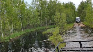 Совиный тур 2019. День 1. Бородатые неясыти, сплюшки, мохноногий сыч